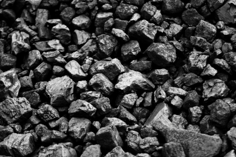 What is the real price of Polish coal?