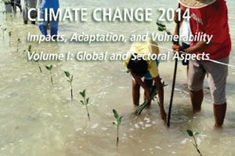 IPCC experts warn: we are ill-prepared for climate change impacts, the poorest will suffer most