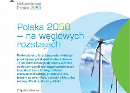 Energy sector restructuring – a way to solve Poland’s crisis